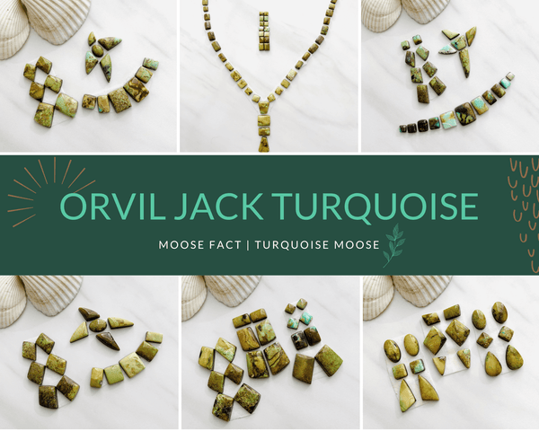 Moose Fact: Getting To Know Orvil Jack Turquoise – Turquoise Moose