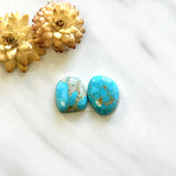 Medium Sky Blue Freeform Royston Turquoise, Set of 2 Background