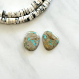 Large Sky Blue Freeform Royston Turquoise, Set of 2 Background