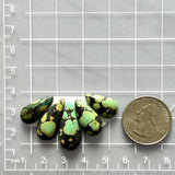 Medium Bamboo Green Teardrop Bamboo Mountain Turquoise, Set of 5 Dimensions