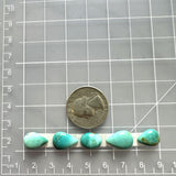 Small Sky Blue Teardrop Fox Turquoise, Set of 5 Dimensions