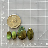 Large Mixed Mixed Treasure Mountain Turquoise, Set of 4 Dimensions