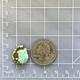 Small Faint Blue Freeform Number 8 Turquoise Dimensions