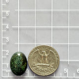 Medium Ocean Blue Oval Milky Way Turquoise Dimensions