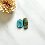 Medium Mixed Freeform Royston Turquoise, Set of 2 Background