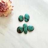 Small Mint Green Freeform Carico Lake Turquoise, Set of 5 Background