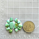 Small Lime Green Mixed Lone Mountain Turquoise, Set of 12 Dimensions