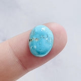 L14 x W11 x H6 Sky Blue Freeform Bisbee Turquoise Background