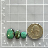 Small Deep Green Oval Tyrone Turquoise, Set of 3 Dimensions