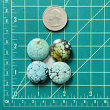 Medium Mixed Round Mixed Turquoise, Set of 4 Dimensions