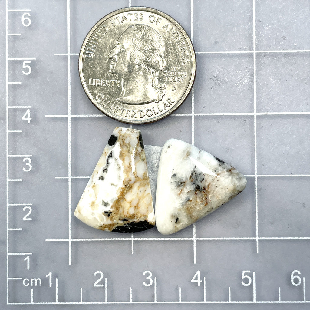 Medium Pale Brown Mixed White Buffalo Dolomite, Set of 2