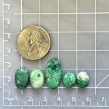 Small Mint Green Mixed Crescent Lake Variscite, Set of 5 Dimensions