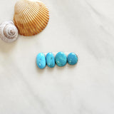 Small Sky Blue Mixed Sleeping Beauty Turquoise, Set of 4 Background