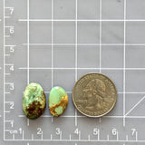 Medium Mint Green Freeform Royston Turquoise, Set of 2 Dimensions