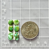 Small Lime Green Freeform Sonoran Gold Turquoise, Set of 6 Dimensions