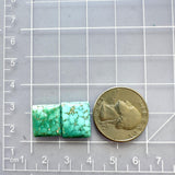 Small Sea Green Square Namtso Lake Turquoise, Set of 2 Dimensions