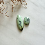Large Faint Green Mixed Crescent Lake Variscite, Set of 2 Background