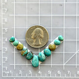 Small Sea Green Oval Lone Mountain Turquoise, Set of 11 Dimensions