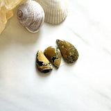 Medium Earth Brown Mixed Treasure Mountain Turquoise, Set of 3 Background
