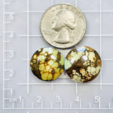 Medium Earth Brown Round Treasure Mountain Turquoise, Set of 2 Dimensions