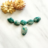 Small Deep Green Freeform Fox Turquoise, Set of 6 Background