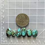 Small Sky Blue Mixed Wild Horse Turquoise, Set of 6 Dimensions