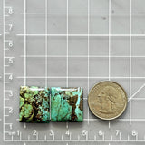 Large Bamboo Green Square Wild Horse Turquoise, Set of 2 Dimensions