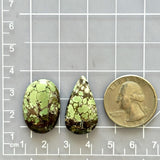 Large Sea Green Mixed Treasure Mountain Turquoise, Set of 2 Dimensions