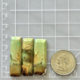 Large Mint Green Bar Crescent Lake Variscite, Set of 3 Dimensions