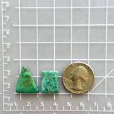 Medium Mixed Mixed Mixed Turquoise, Set of 2 Dimensions
