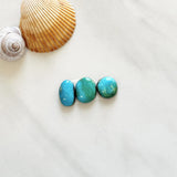 Small Sky Blue Freeform Kingman Turquoise, Set of 3 Background