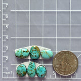 Small Mint Green Mixed Number 8 Turquoise, Set of 6 Dimensions