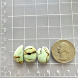 Small Faint Green Mixed Crescent Lake Variscite, Set of 3 Dimensions