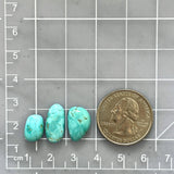 Small Sky Blue Freeform Number 8 Turquoise, Set of 3 Dimensions