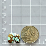 Small Faint Green Oval Number 8 Turquoise, Set of 2 Dimensions