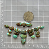 Small Mixed Mixed Tyrone Turquoise, Set of 20 Dimensions