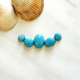 Small Sky Blue Mixed Sleeping Beauty Turquoise, Set of 5 Background