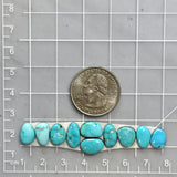Small Sky Blue Mixed Lone Mountain Turquoise, Set of 10 Dimensions