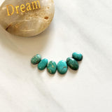 Small Sky Blue Mixed Fox Turquoise, Set of 6 Background