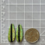 Large Sea Green Surfboard Crescent Lake Variscite, Set of 2 Dimensions