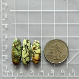 Medium Royal Orange Surfboard Treasure Mountain Turquoise, Set of 3 Dimensions