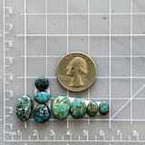 Small Ocean Blue Mixed Morenci Turquoise, Set of 8 Dimensions