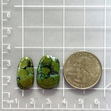 Medium Bamboo Green Oval Bamboo Mountain Turquoise, Set of 2 Dimensions