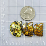 Large Mixed Half Moon Treasure Mountain Turquoise, Set of 3 Dimensions