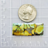 Medium Sea Green Bar Treasure Mountain Turquoise, Set of 3 Dimensions