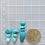 Small Sky Blue Freeform Mixed Turquoise, Set of 10 Dimensions