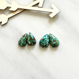 Small Sea Green Teardrop Namtso Lake Turquoise, Set of 4 Background