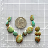 Small Mixed Mixed Tyrone Turquoise, Set of 12 Dimensions