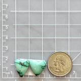 Medium Faint Green Heart Emerald Rose Variscite, Set of 2 Dimensions