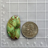 Large Sea Green Freeform Crescent Lake Variscite Dimensions